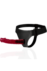 HARNESS ATTRACTION - RNES BRANT 19 CM -O- 4 CM