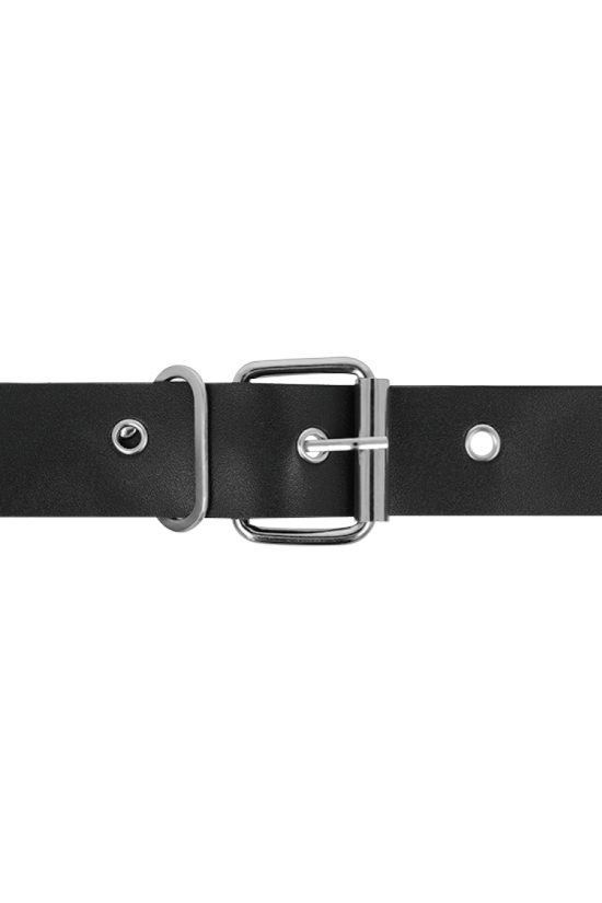 HARNESS ATTRACTION - RNES TAYLOR DELUXE 18 CM -O- 4.5 CM