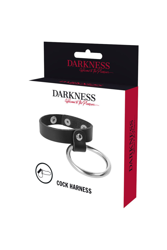DARKNESS - ANELLO IN METALLO PER PENE E TESTICOLI