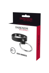 DARKNESS - ANELLO IN METALLO PER PENE E TESTICOLI