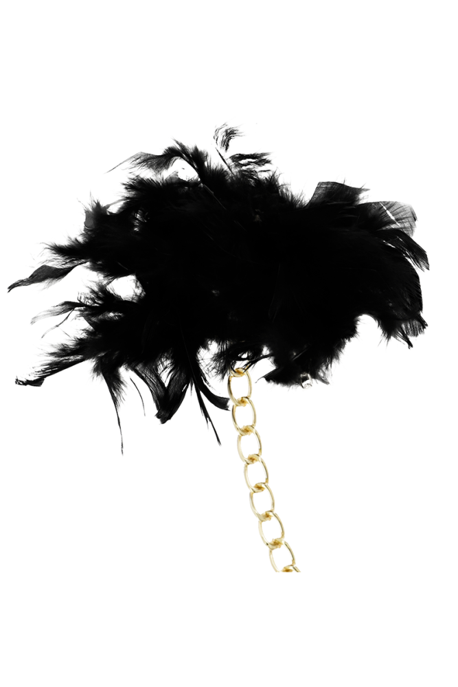 COQUETTE CHIC DESIRE - MANETTE DELUXE