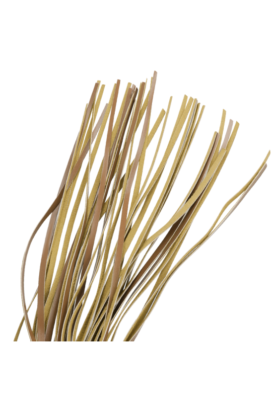 FETISH SOTTOMESSA ORIGINE - FRUSTA IN PELLE VEGANA