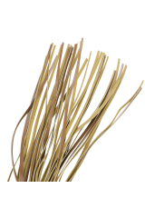 FETISH SOTTOMESSA ORIGINE - FRUSTA IN PELLE VEGANA