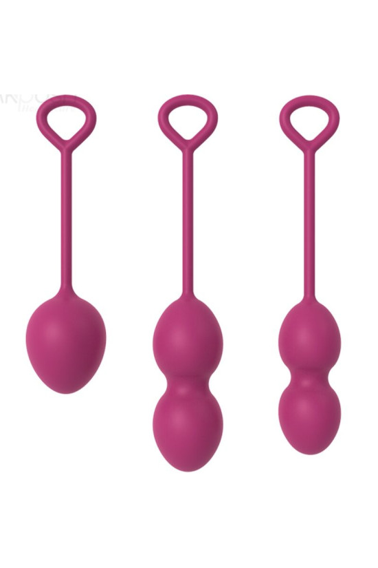 ARMONY - ANABIOSIS MANUBRI VAGINALI 3 LIVELLI BORDEAUX