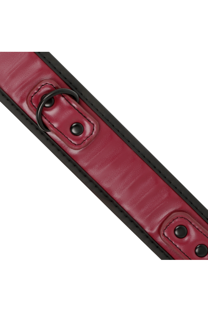 FETISH SUBMISSIVE DARK ROOM - COLLANA A CATENA CON FODERA IN NEOPRENE