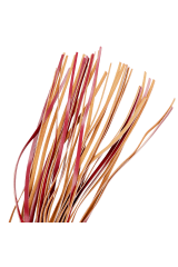 FETISH SUBMISSIVE DARK ROOM - FRUSTA IN PELLE VEGANA