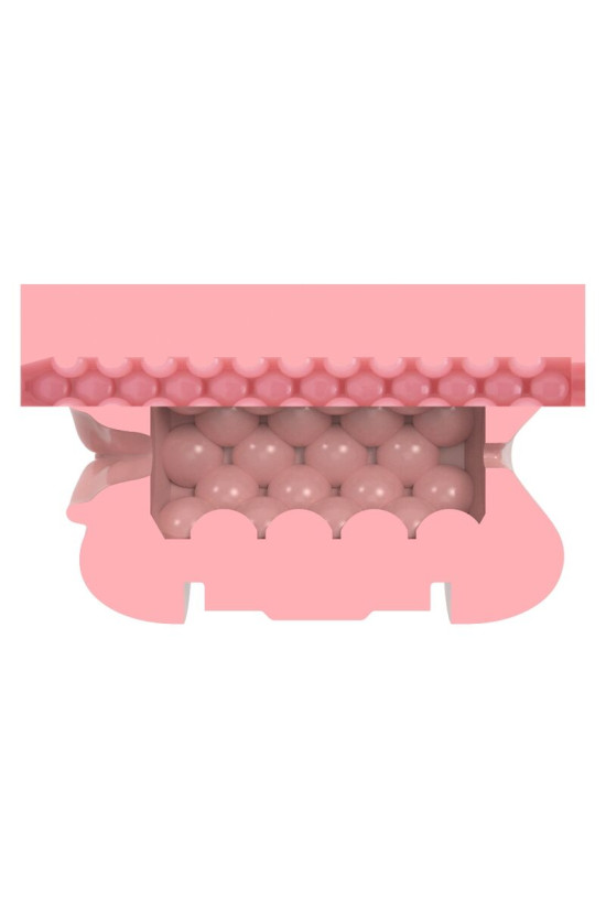 FLESHLIGHT - QUICKSHOT STAMINA TRAINING UNIT LADY&BUTT