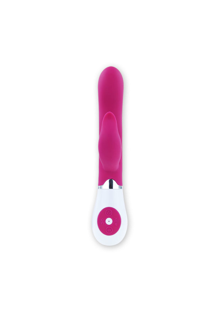 PRETTY LOVE - FLIRTATION VIBRATORE CON STIMOLATORE FELIX