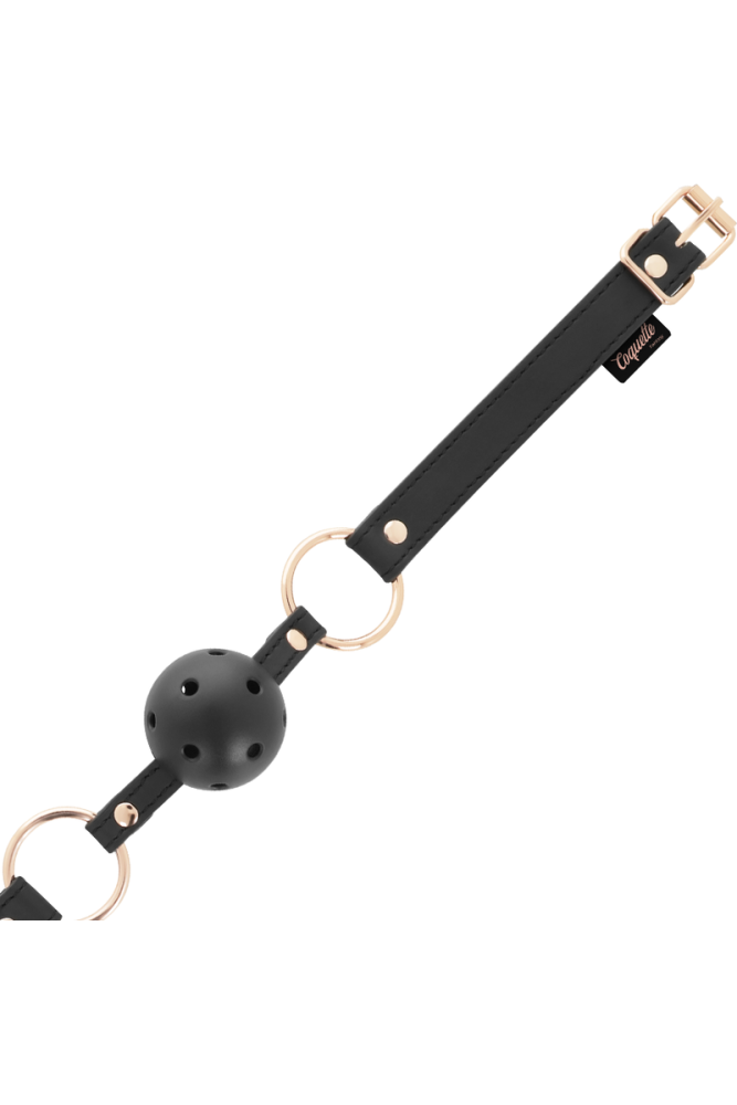 COQUETTE CHIC DESIRE - BALL GAG TRASPIRANTE FANTASIA