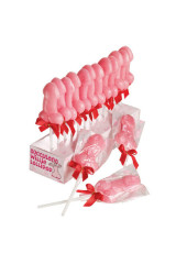 SPENCER & FLEETWOOD - LECCA-LECCA DI WILLIE SUCCULENTE