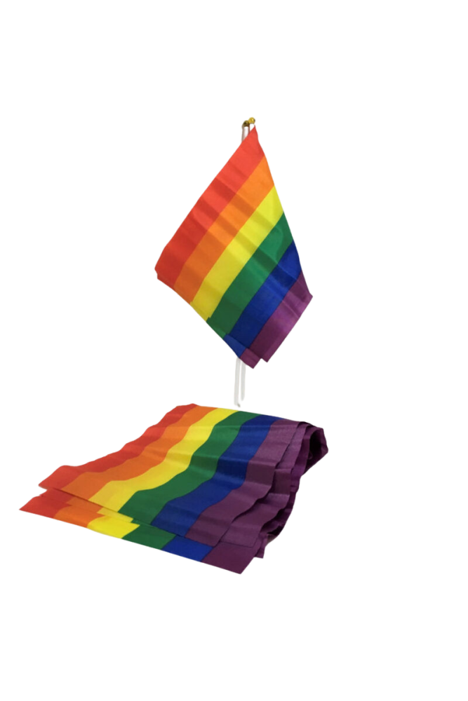 PRIDE - BANDIERA PICCOLA BANDIERA LGBT