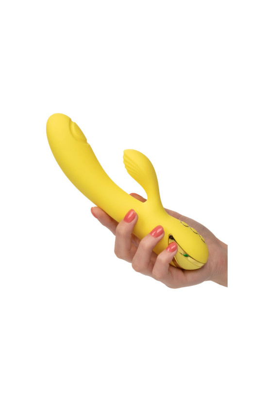 CALEXOTICS - LA SEDUZIONE DI SAN DIEGO