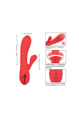 CALEXOTICS - PALISADES ROSSO PASSIONE