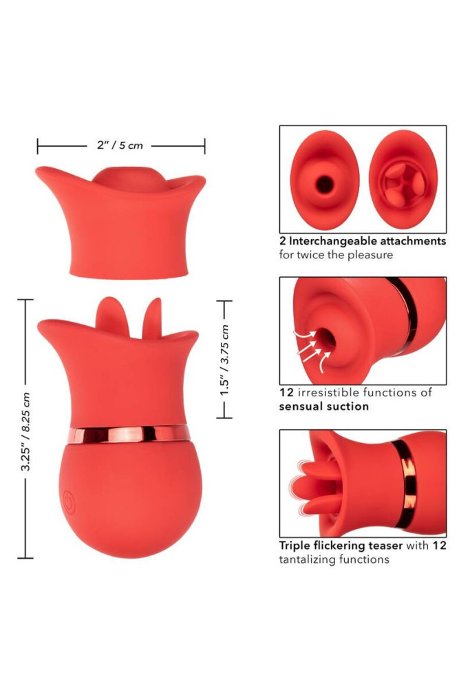 CALEXOTICS - SET FRENCH KISS SUCCHIA E GIOCA