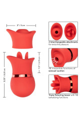 CALEXOTICS - SET FRENCH KISS SUCCHIA E GIOCA