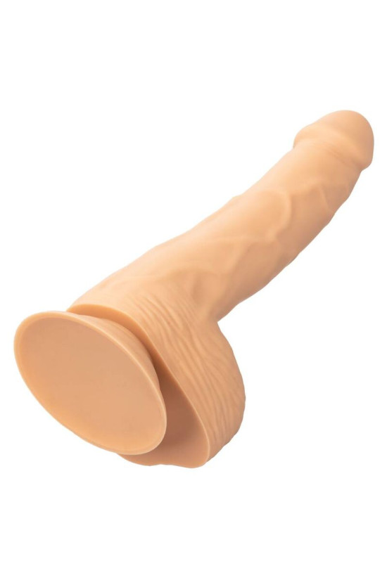 CALEXOTICS - BORCHIE IN SILICONE 20.32 CM PELLE