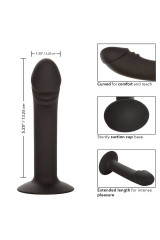 CALEXOTICS - STUDIO ANALE CURVO