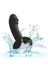 CALEXOTICS - STUDIO ANALE CURVO