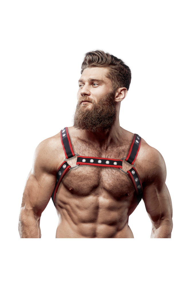 FETISH SUBMISSIVE ATTITUDINE - IMBRACATURA PER BULLDOG IN ECOPELLE DA UOMO NERA/ROSSA