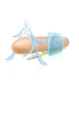 ANDROPENIS MINI - ESTENSORE DEL PENE