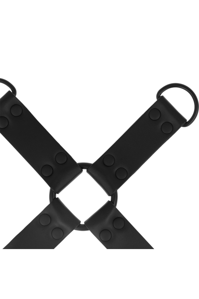 INTENSE - FETISH HOG TIE