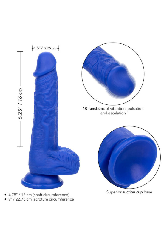 CALEXOTICS - ADMIRAL VIBRATORE DILDO REALISTICO SAILOR BLU