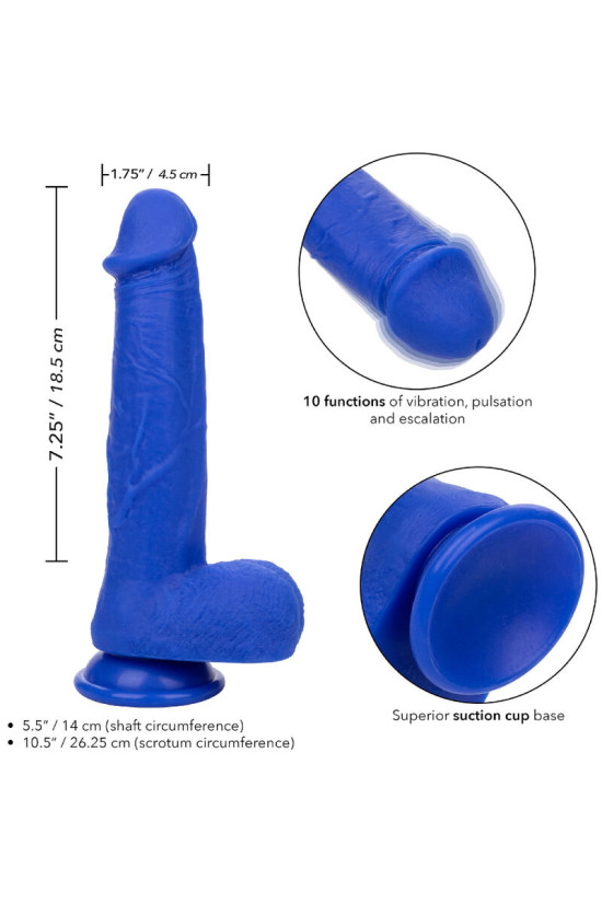 CALEXOTICS - ADMIRAL VIBRATORE DILDO REALISTICO DEL CAPITANO BLU