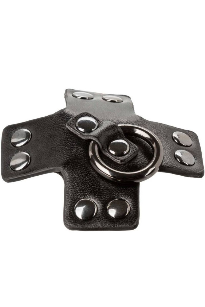 CALEXOTICS - EUPHORIA O-RING NERO