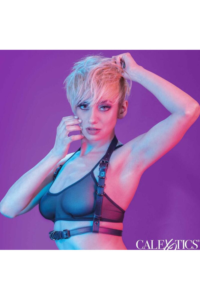 CALEXOTICS - EUPHORIA IMBRACATURA CON FIBBIA HALTER NERA