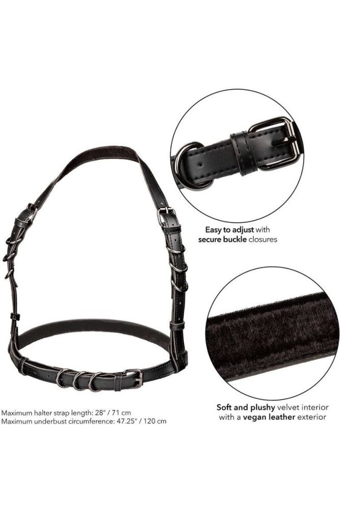 CALEXOTICS - EUPHORIA IMBRACATURA CON FIBBIA PLUS TAGLIA NERA