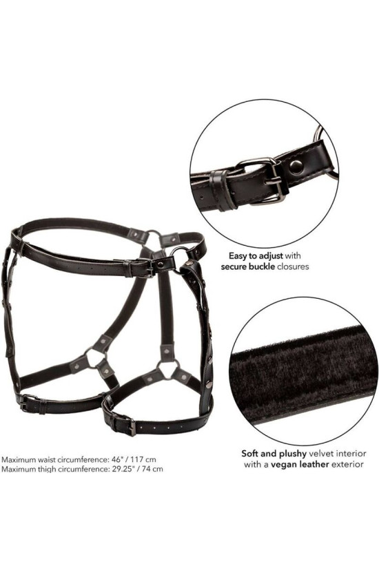 CALEXOTICS - EUPHORIA PETTORINA DA EQUITAZIONE PLUS TAGLIA