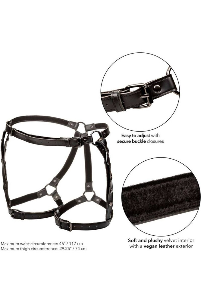 CALEXOTICS - EUPHORIA PETTORINA DA EQUITAZIONE PLUS TAGLIA