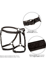 CALEXOTICS - EUPHORIA PETTORINA DA EQUITAZIONE PLUS TAGLIA