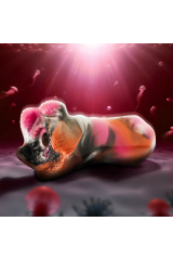 EPIC - BOCCA MASTURBATORE MASCHILE TELEMUS CYCLOPS