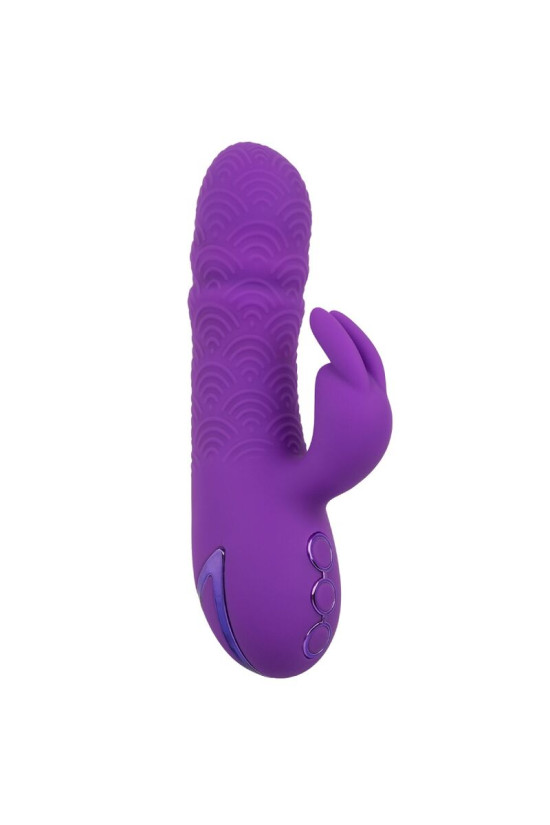 CALEXOTICS - MANHATTAN BEACH MARVEL VIBRATORE RABBIT VIOLA DI CALIFORNIA DREAMING