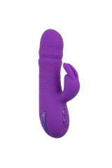 CALEXOTICS - MANHATTAN BEACH MARVEL VIBRATORE RABBIT VIOLA DI CALIFORNIA DREAMING