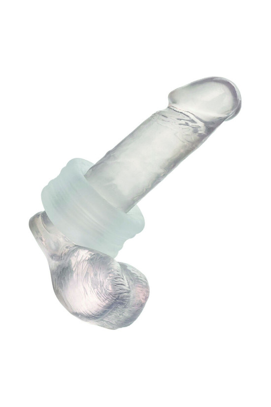 CALEXOTICS - BOUNDLESS ANELLO PARAURTI