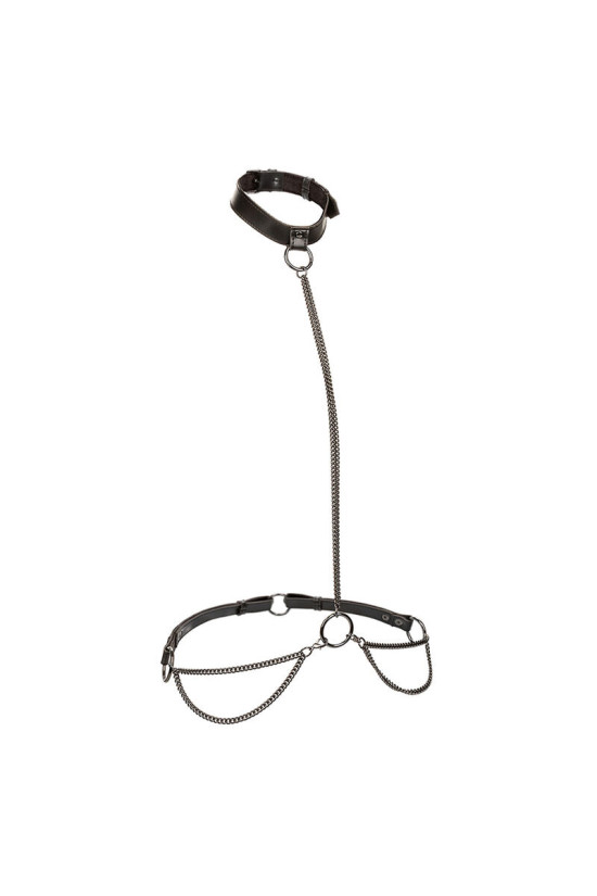 CALEXOTICS - EUPHORIA COLLARE A CATENA E GUINZAGLIO TAGLIA PIÙ GRANDE