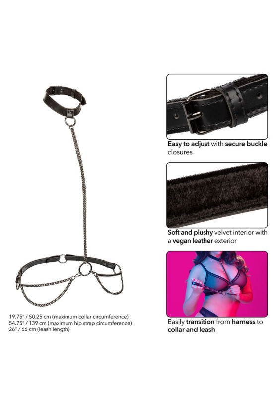 CALEXOTICS - EUPHORIA COLLARE A CATENA E GUINZAGLIO TAGLIA PIÙ GRANDE