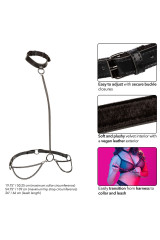 CALEXOTICS - EUPHORIA COLLARE A CATENA E GUINZAGLIO TAGLIA PIÙ GRANDE