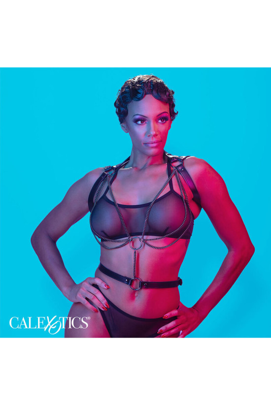 CALEXOTICS - EUPHORIA MULTICHAIN HALTER HARNESS PREMIUM
