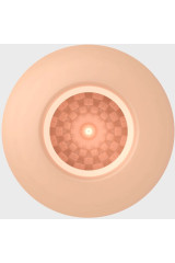 PRETTY LOVE - MASTURBATORE MASCHILE UOVO CARNE MODELLO 2