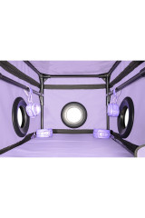 SECRET DOME - KINK CLUB LA NICHE CABIN VIOLA