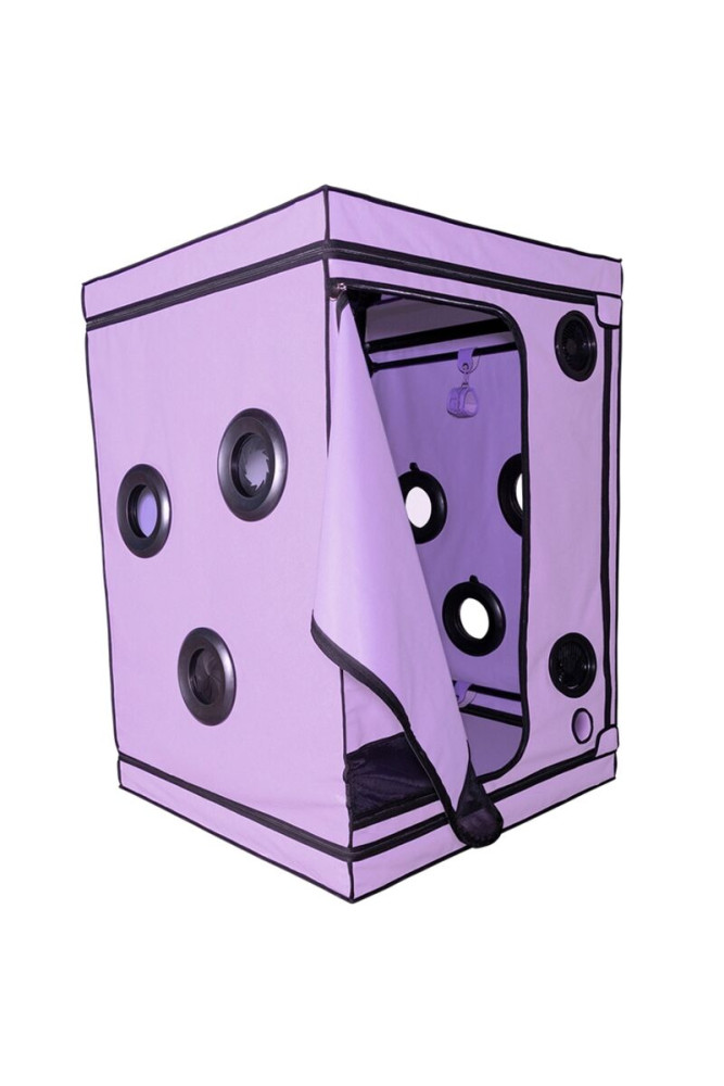 SECRET DOME - KINK CLUB CABIN SCANDALE VIOLA