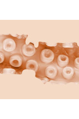 FLESHLIGHT FANTASY - VAGINA DI SASHA NAKAMOTO