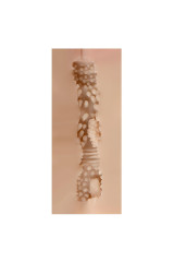 SHEQU - MICHELLE MASTURBATORE VAGINA