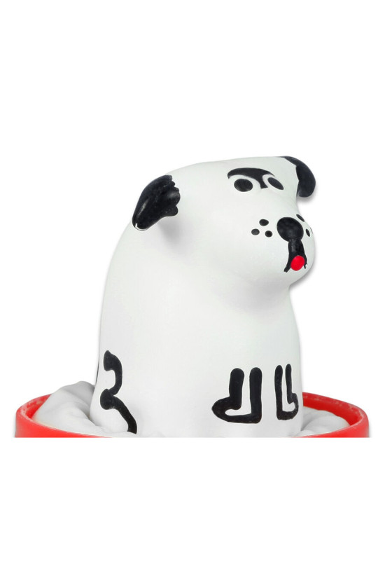 CONDOMERIE - PRESERVATIVI NOVITÀ DIPINTI A MANO CANE DALMATA