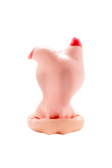 CONDOMERIE - PRESERVATIVI NOVITÀ DIPINTI A MANO TESTA DI MAIALE