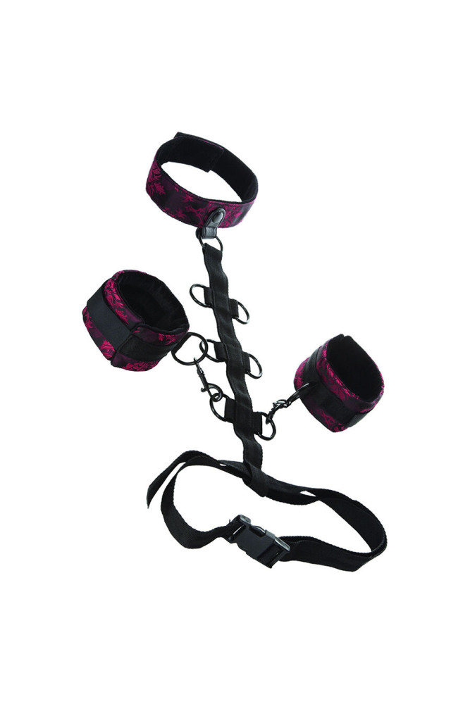 CALEXOTICS - SCANDAL COMPORAL SUPPORT CON COLLO