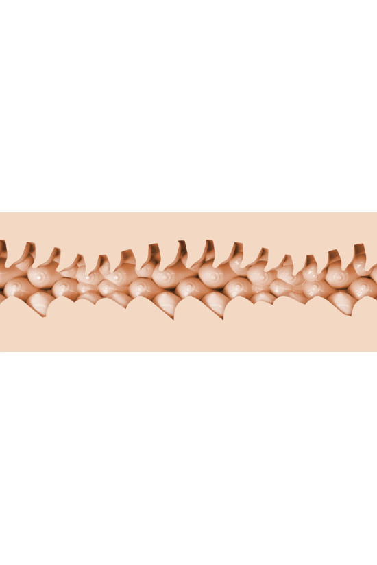 FLESHLIGHT FANTASY - EVIE AKASHIYA VAGINA